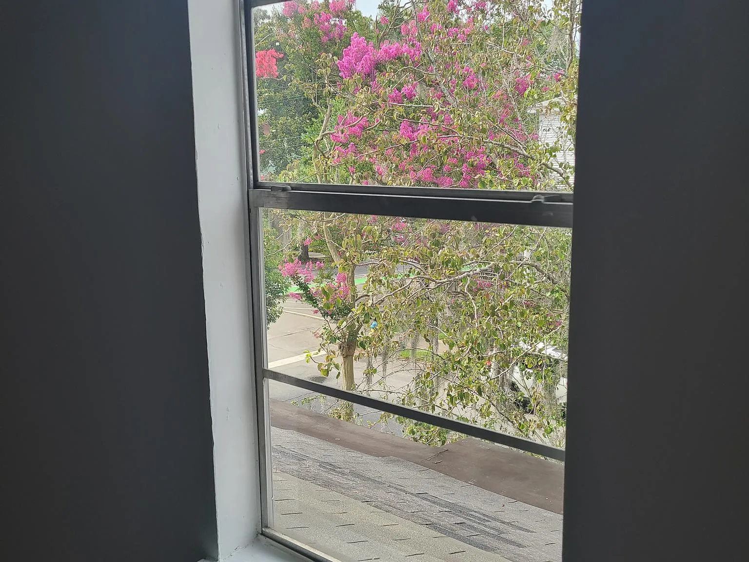 3 bed, 1200 sqft, $1,900 — Photo 4