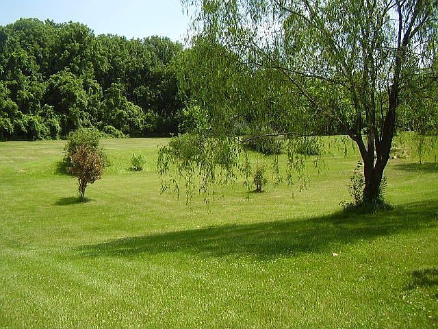3 Acre Lot