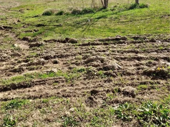 36553 Waymire Rd, Howe, OK 74940