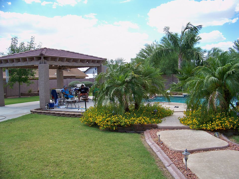 Back yard