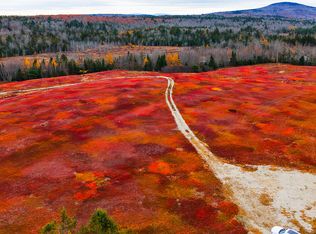 MAP31LOT29 Land-Perkins, Blue Hill, ME 04614