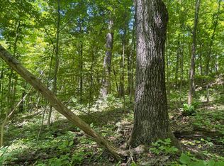 1 Ashland Rdg, Porters Falls, WV 26162