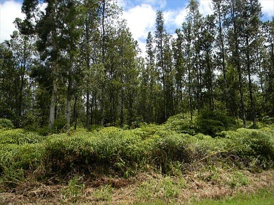 1st image of Kahukai St