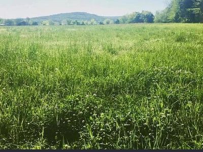 0 County Road 7, Moulton, AL, 35650