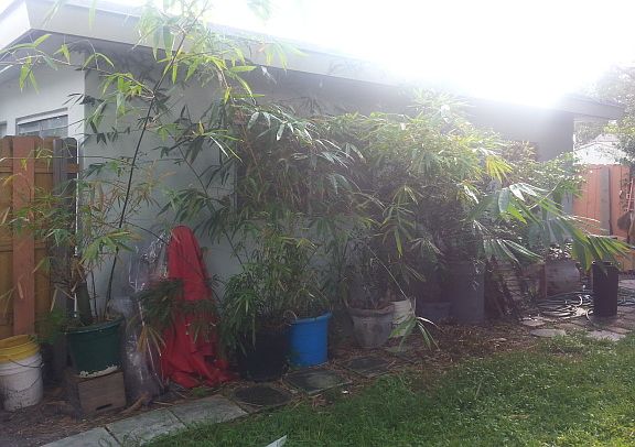 2nd image of 1041 NE 33rd St #2