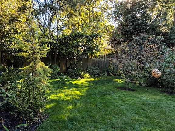 Yard and grassy area
