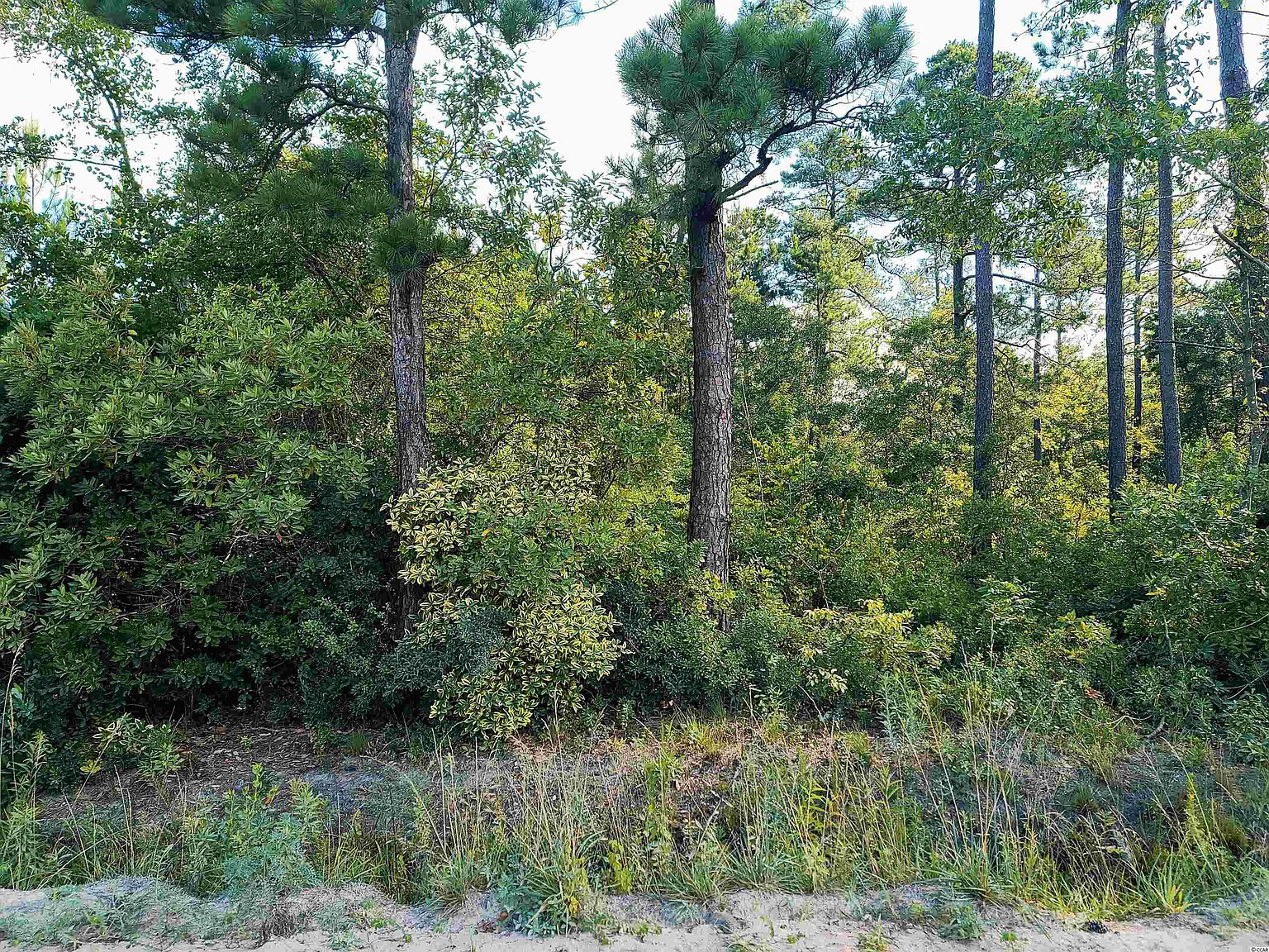 Newton Rd, Aynor, SC 29511 MLS 2214290 Zillow