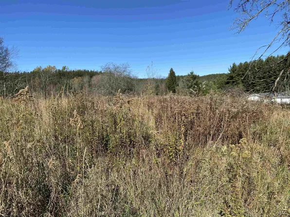 254 Buckmaster Aly, Davis, WV 26260