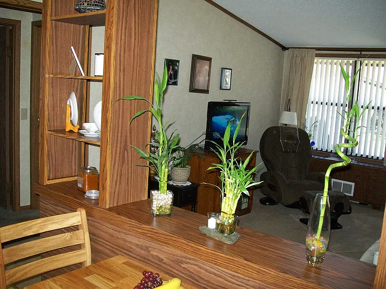 Cedargate Apartments — Photo 13