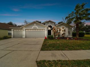 6919 Pine Springs Dr, Wesley Chapel, FL 33545