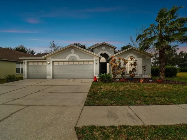 6919 Pine Springs Dr, Wesley Chapel, FL 33545
