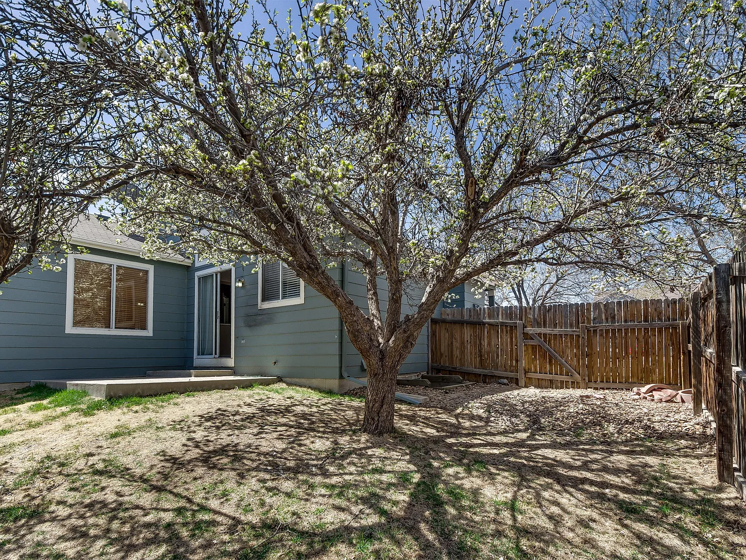 8708 Greengrass Way - 1 — Photo 4
