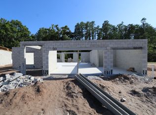 20119 Oriana Loop, Land O Lakes, FL 34638