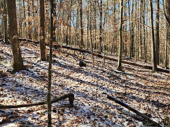 2nd image of 5500 Brookton Lula Rd #3