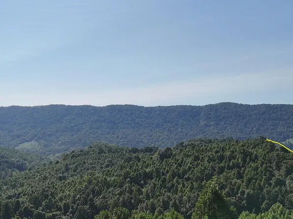 0 Rash Hollow Rd, Jonesville, VA 24263