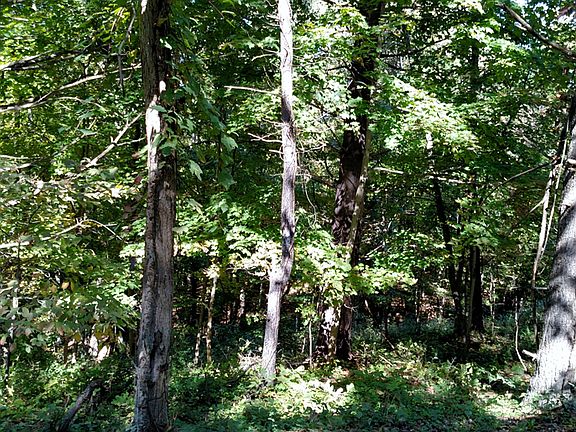 2nd image of 0 Lavelle Road