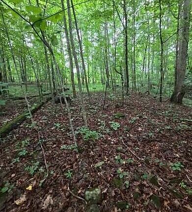 5th image of 0 Beechmont Rd