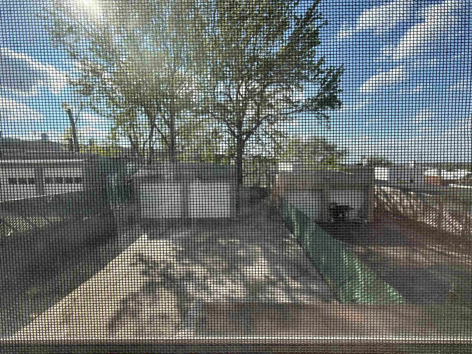 2 bed, 1.0 bath, 950 sqft, $2,100 — Photo 4