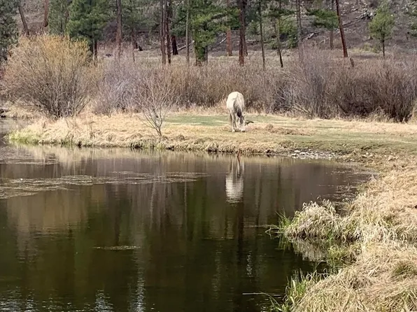 Nhn Us Hwy #93, Conner, MT 59827
