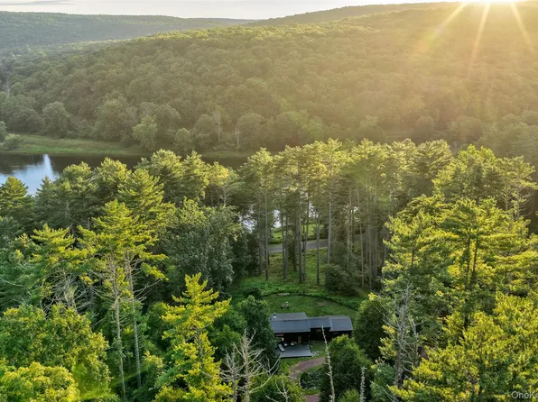 151 Hankins Road, Narrowsburg, NY 12764