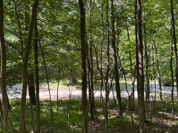 Tbd Rivers Edge Trl, Mount Pleasant, MI 48858