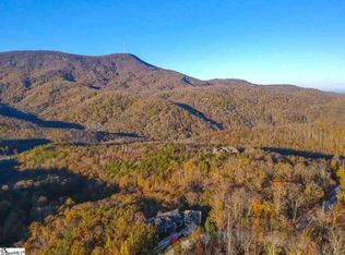 14 Outlook Ledge, Landrum, SC 29356