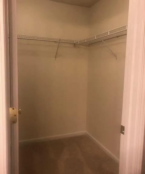 6303 Spring Creek Ln — Photo 7
