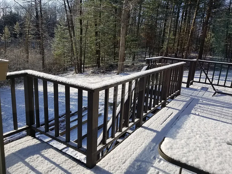 10961 Cedar Hedge Trl — Photo 15