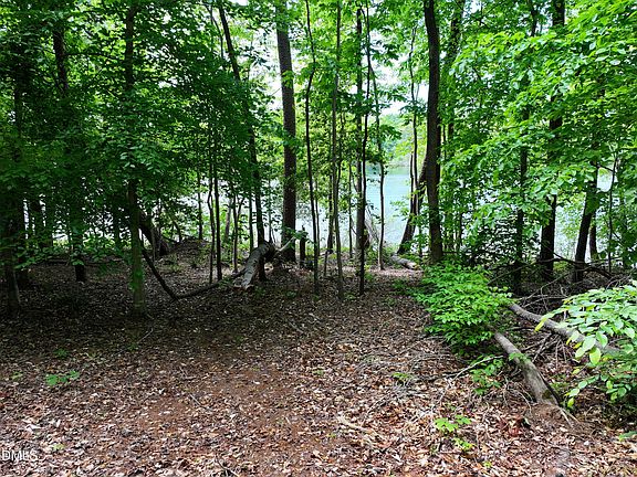 3rd image of 75 Max Finn Ln Lot 1
