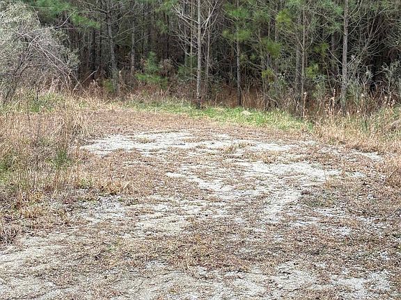 4th image of TBD Turkey Pen Rd.