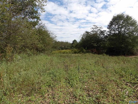 5th image of 2073 County Road 111