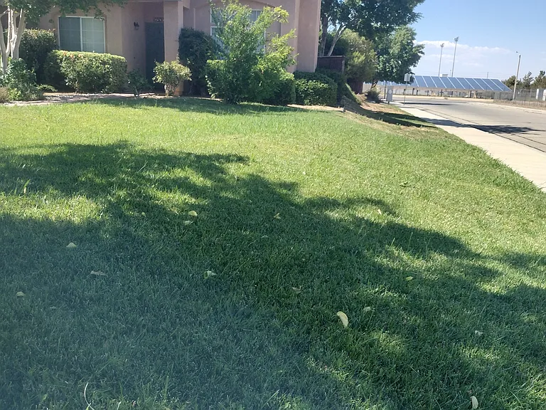 6303 Prairie Ct — Photo 2