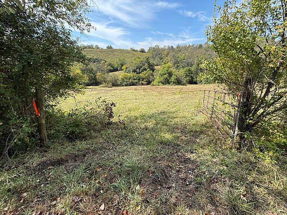 4th image of 3525 Old Ruckerville Rd