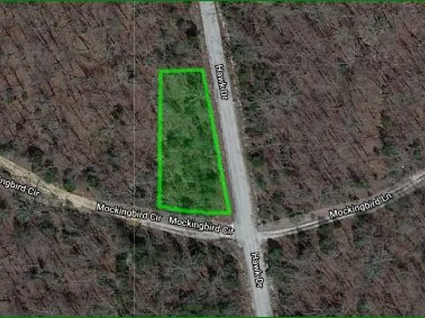 1400 Mockingbird Ln, Horseshoe Bend, AR 72512