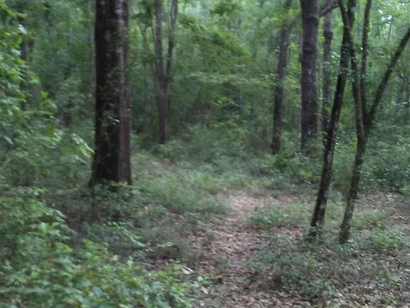 3rd image of 0 Corner Of Coweta Rd And Dogwood Dr