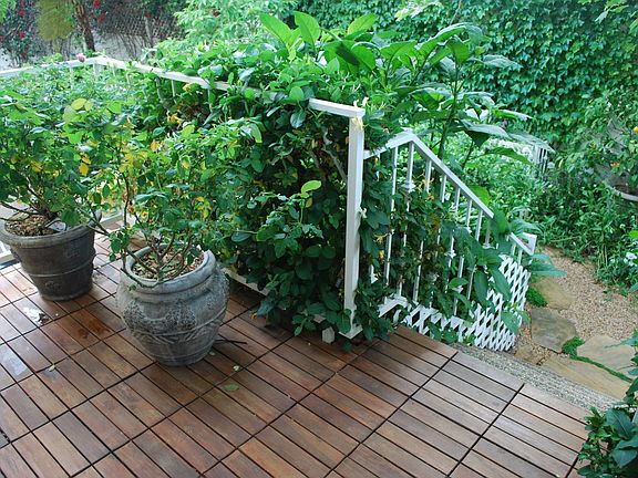 Stained Wood Deck