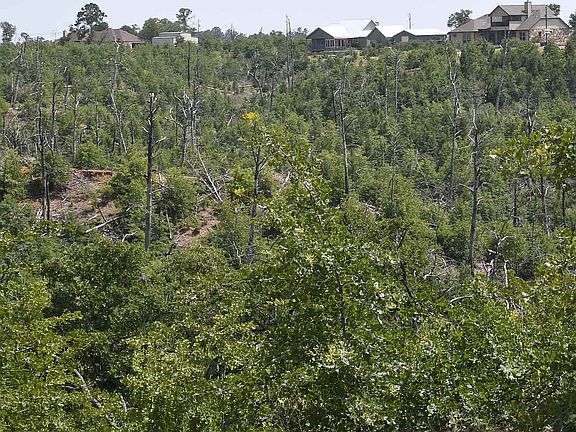 3rd image of 304 Tall Forest Dr