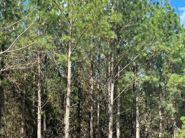 709 Timber Creek Trl, Broken Bow, OK 74728