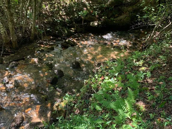 20 Bryant Cove Rd, Blairsville, GA 30512