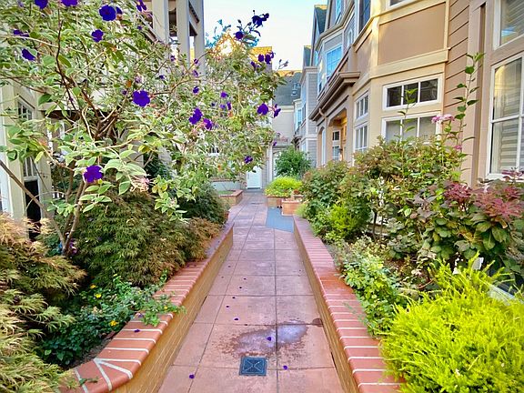 Courtyard Walkway