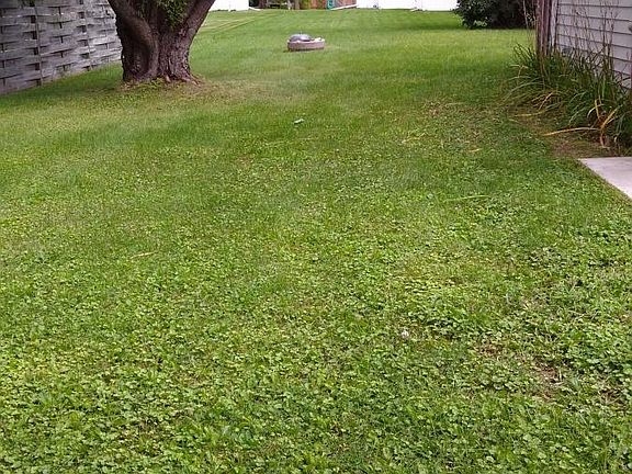 Nice backyard with firepit