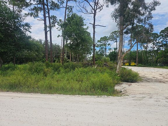 2nd image of 13841 76th Road N