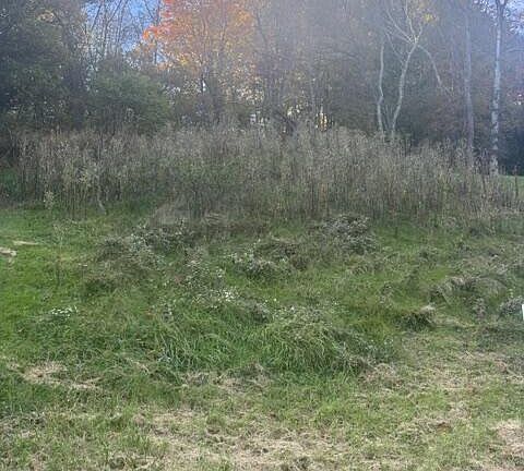 5th image of 9901 National Road