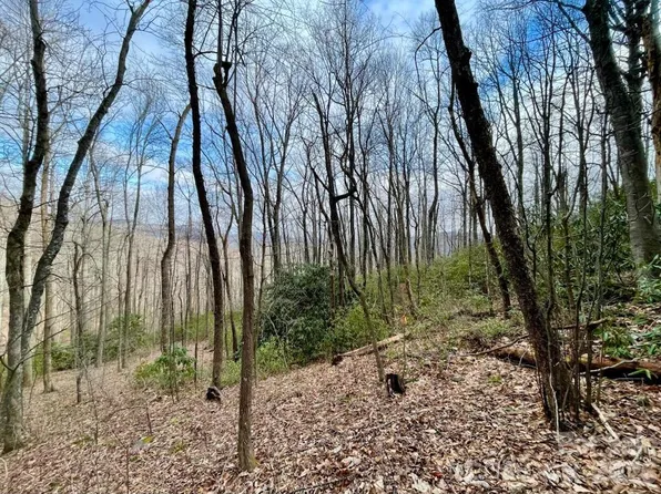 Rock Garden Rd, Black Mountain, NC 28711