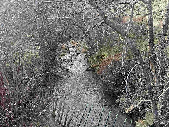 3rd image of 32680 Webb Ridge Rd