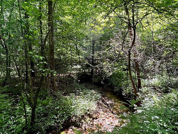 4th image of Mountain Creek Dr