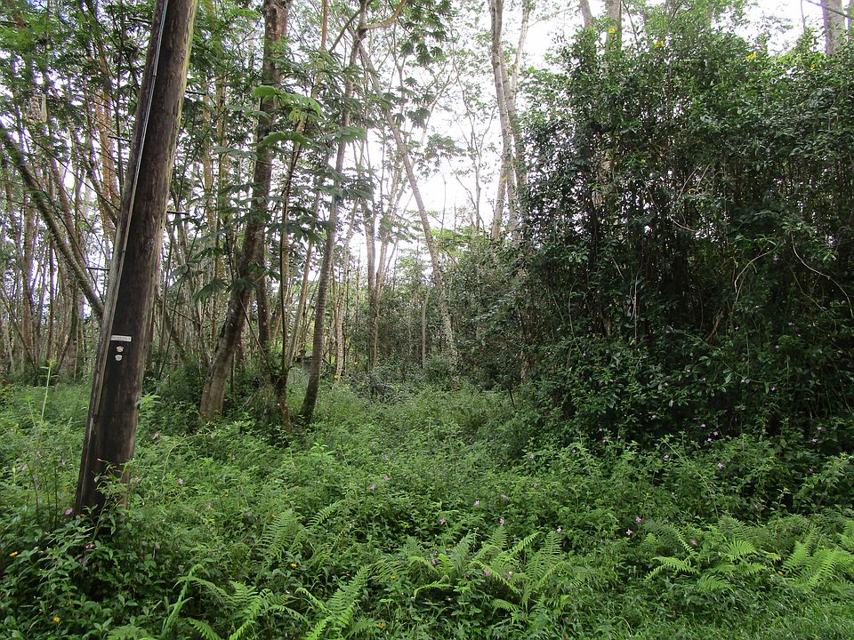2nd image of Niihau Rd Lot 732-734