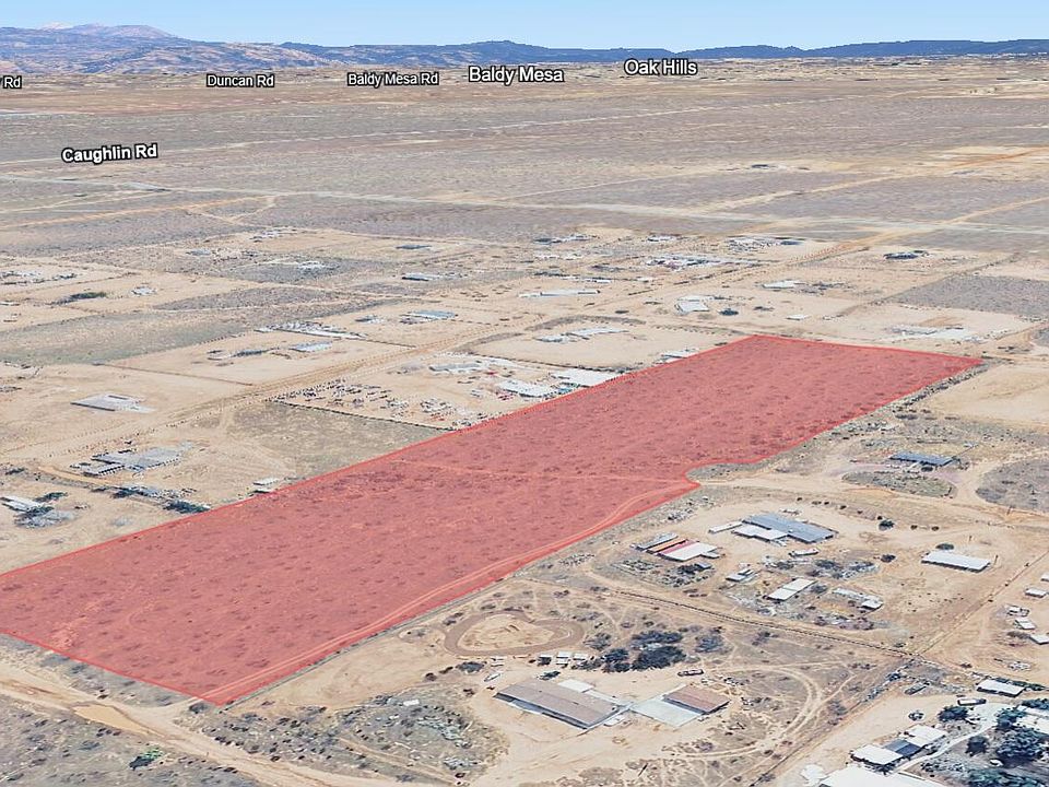 2nd image of Begonia Road