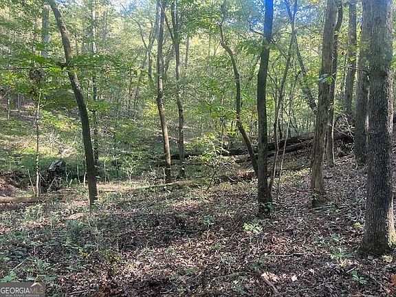 4th image of 3011 Mark Foster Rd
