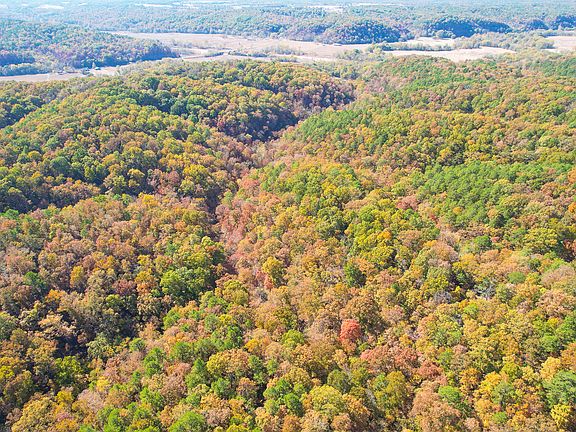 4th image of 14841 County Road 456